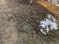 IMG-0240