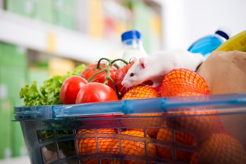Common Places for Bugs to Hide-Out in Retail Stores