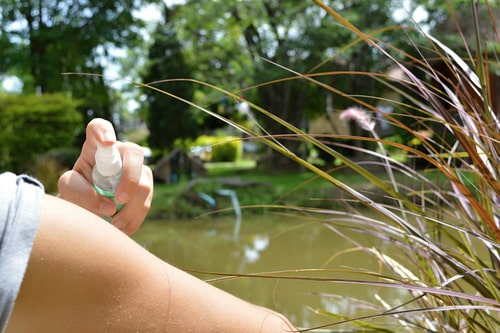 Summertime Mosquitos