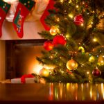 What’s Hiding in Your Christmas Tree? - One Man and a Lady Bug - Pest Control Calgary