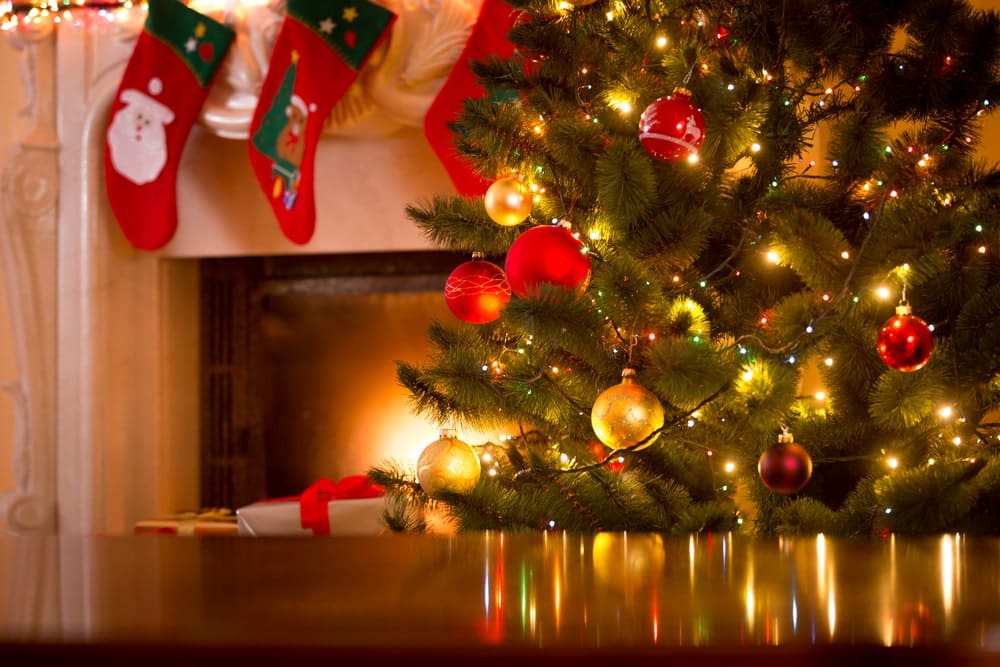 What’s Hiding in Your Christmas Tree? - One Man and a Lady Bug - Pest Control Calgary