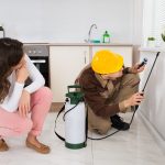 Pest Control in Calgary – Why We Need This Vital Service - One Man and a Lady Bug - Pest Control Calgary