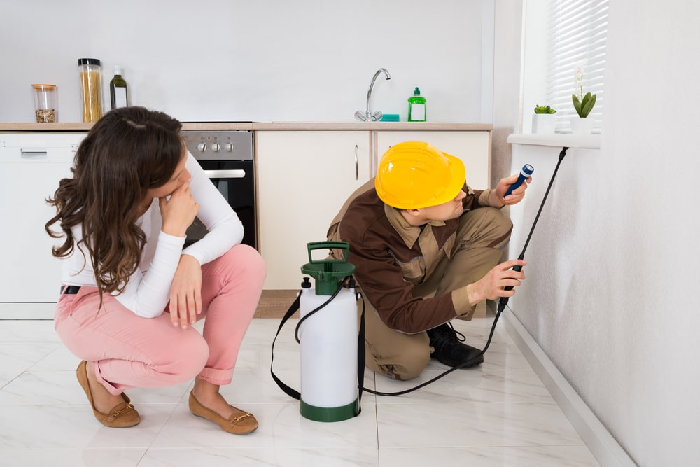 Pest Control in Calgary – Why We Need This Vital Service - One Man and a Lady Bug - Pest Control Calgary