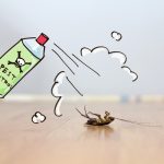 Safeguarding your Home Against Pests - One Man and a Lady bug - Pest Control Company Calgary
