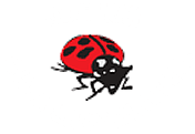 One Man & A Ladybug