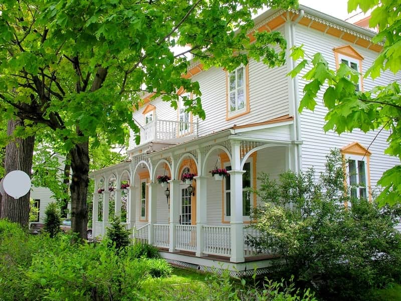 Healthy Trees, Healthy Environment - One Man and a Lady Bug - Pest Control Calgary