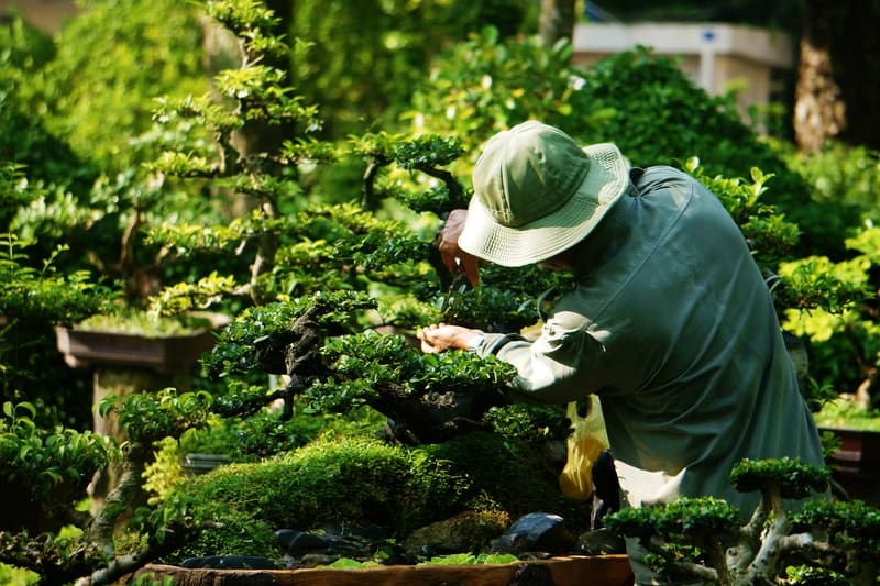 Three Ways to Help Your Trees Stay Healthy - One Man and a Lady Bug - Pest Control Calgary