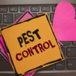 Regularly Scheduled Inspections: How to Keep Your Business Pest Free - One Man and a Lady Bug - Pest Control Calgary