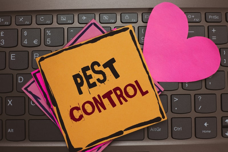 Regularly Scheduled Inspections: How to Keep Your Business Pest Free - One Man and a Lady Bug - Pest Control Calgary