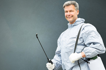 Mosquito control