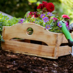 How to Keep Your Garden Pest Free - One Man and a Lady Bug - Pest Control Company Calgary