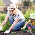 Gardening to Attract the Good Bugs - One Man and a Lady Bug - Pest Control Company - Featured Image