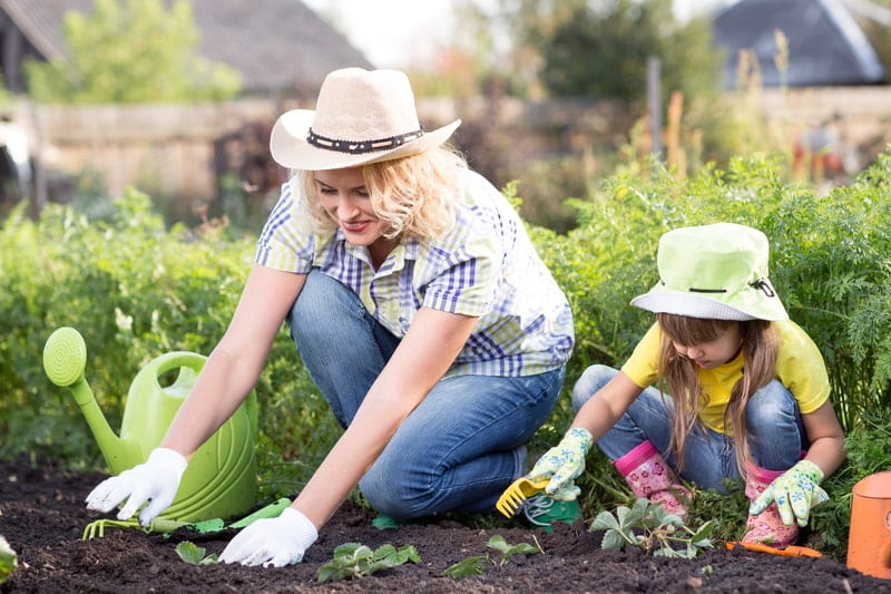 Gardening to Attract the Good Bugs - One Man and a Lady Bug - Pest Control Company - Featured Image