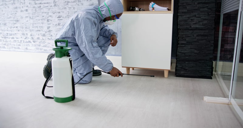 What Not To Do When It Comes To Pest Control