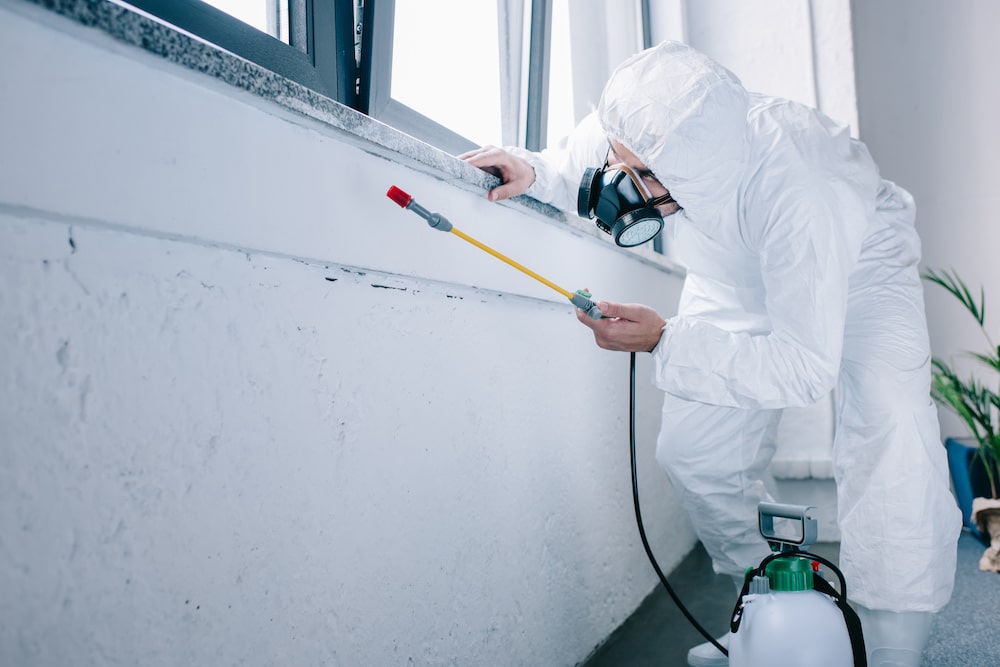 5 Misconceptions About Pest Control