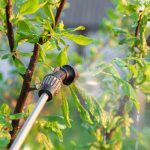 Benefits of Tree Spraying for Insect/Pest Control