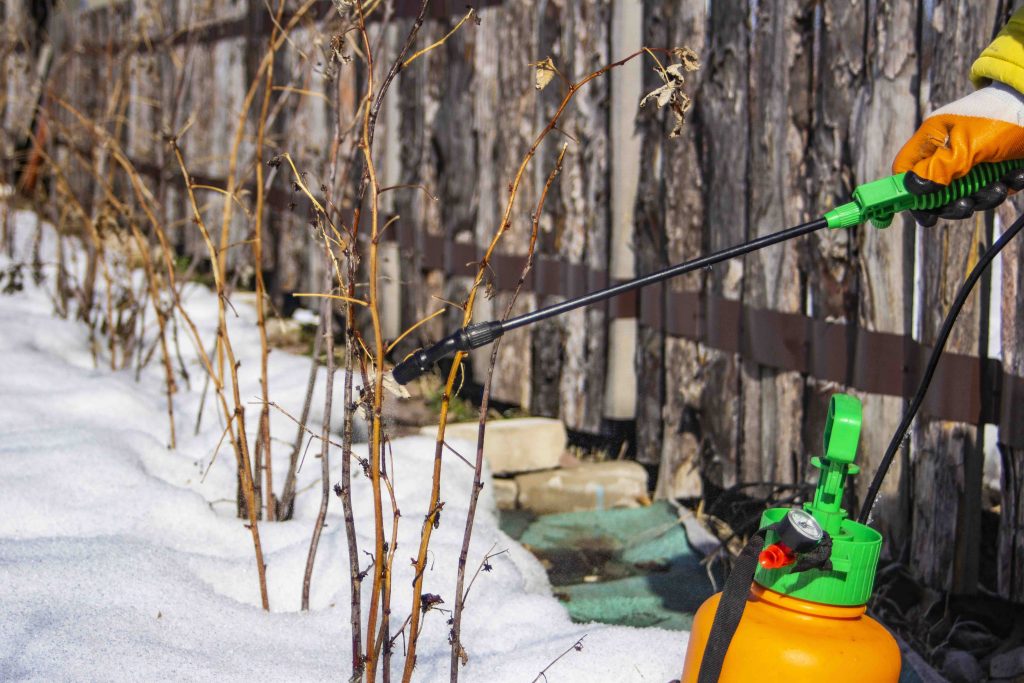 The Role of Tree Spraying in Preparing for Winter