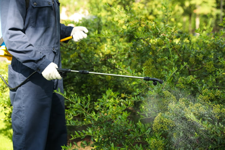 Signs You Need a Professional Pest Control Service