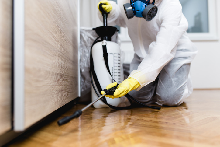 Common House Pests in Canada: What You Need to Know