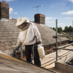 pest control takes care of wasps nest on roofline