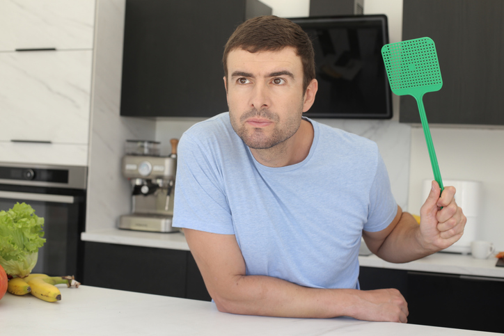 Residential Fly Control in Calgary