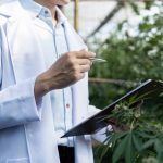 A licensed technician is conducting an inspection to understand integrated pest management as a sustainable approach.