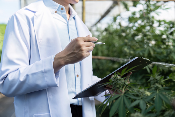 A licensed technician is conducting an inspection to understand integrated pest management as a sustainable approach.