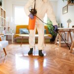 An expert having a pest control programs designed to address seasonal cycles and stop infestations before they start.