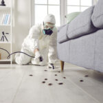A professional exterminator applying interior home treatments, a key step in seasonal maintenance that helps homeowners control how much does pest control cost by preventing expensive infestations between seasons.