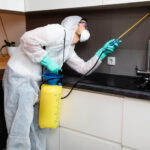 Professional pest control technician spraying in a kitchen, illustrating the difference between professional pest control vs. DIY methods.