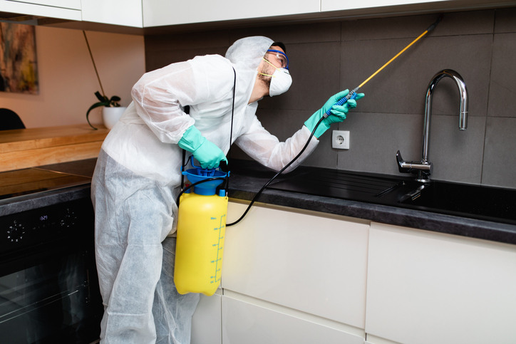 Professional pest control technician spraying in a kitchen, illustrating the difference between professional pest control vs. DIY methods.