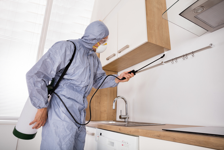 A technician in full protective gear spraying a kitchen, illustrating how to choose the best pest control company based on safety standards and professional equipment.
