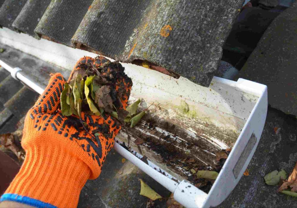 Pest control checklist task removing debris from gutter to reduce pest nesting areas around home.