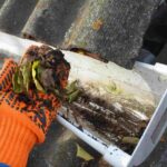 Pest control checklist task removing debris from gutter to reduce pest nesting areas around home.