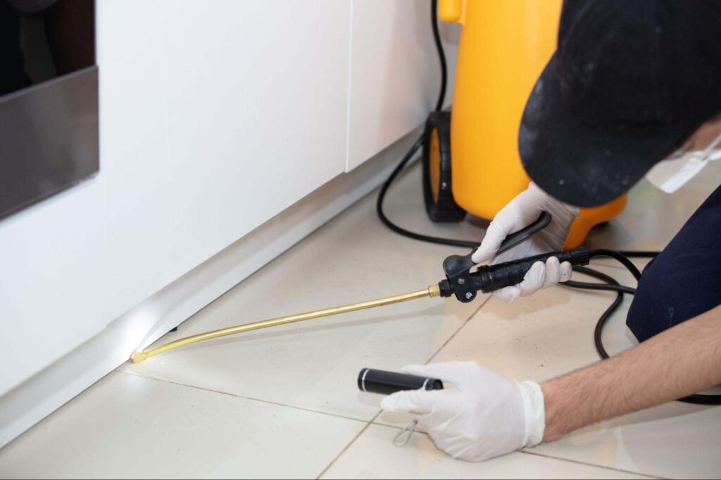 Pest control technician applying indoor treatment illustrating why is pest control important for home protection.