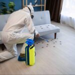Pest control technician spraying treatment to eliminate cockroaches on living room floor during professional pest control service.