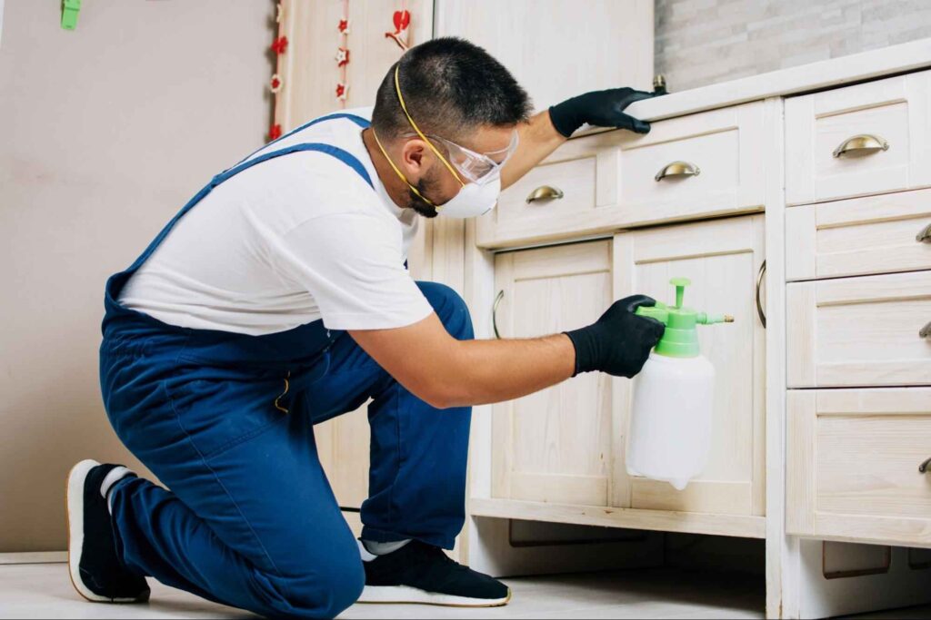 Pest control technician spraying treatment under kitchen cabinets showing how much pest control services typically involve for home protection.