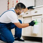 Pest control technician spraying treatment under kitchen cabinets showing how much pest control services typically involve for home protection.