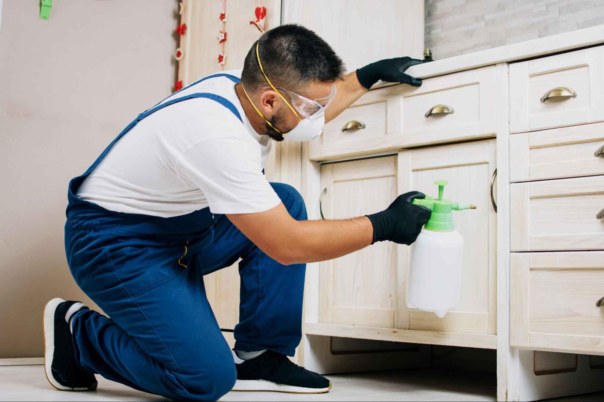 Pest control technician spraying treatment under kitchen cabinets showing how much pest control services typically involve for home protection.