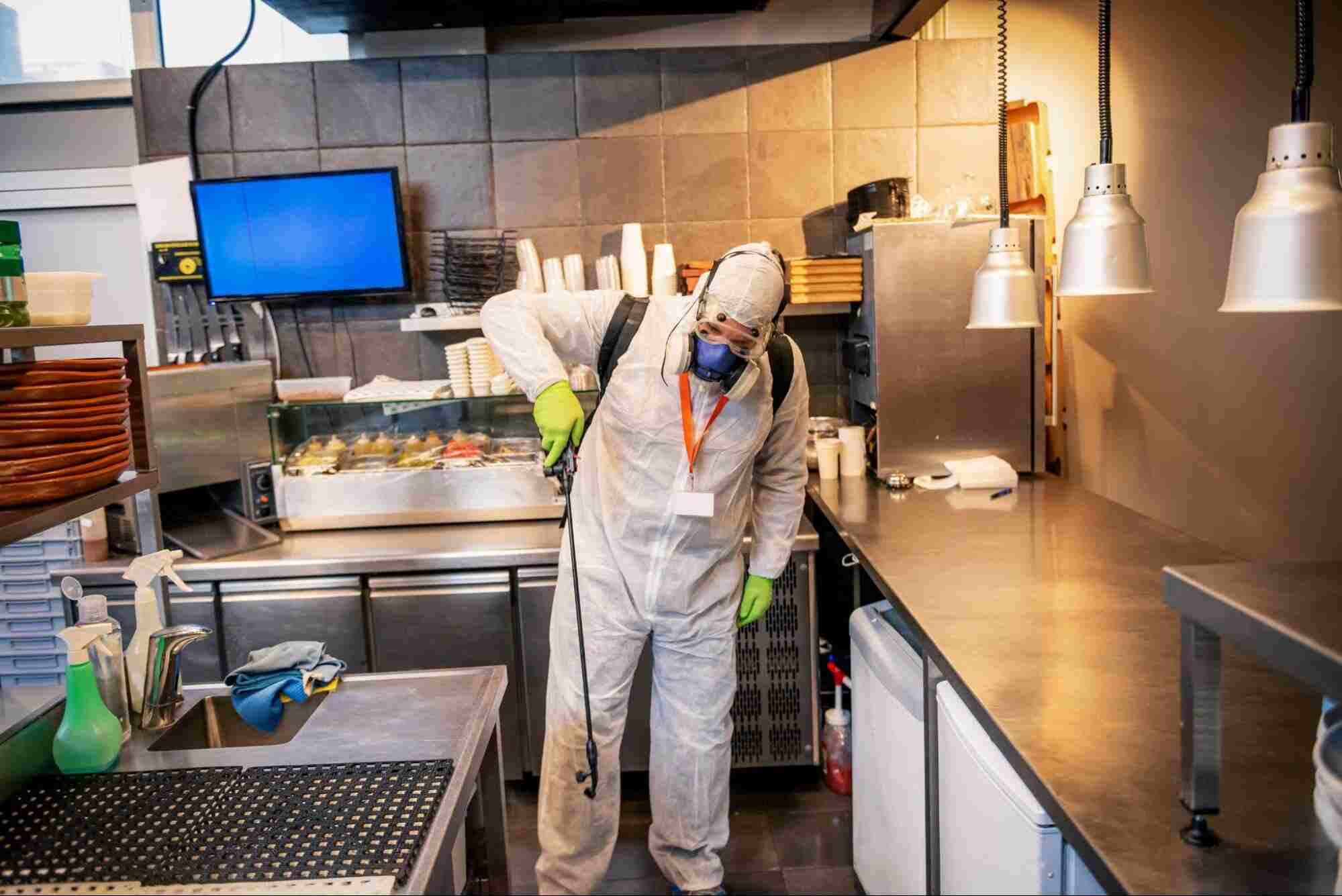 Professional commercial pest control technician inspecting and treating a restaurant kitchen as part of a commercial pest control program to prevent infestations and protect business operations.