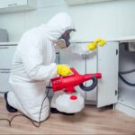 Professional technician treating a home, illustrating DIY vs professional pest control.