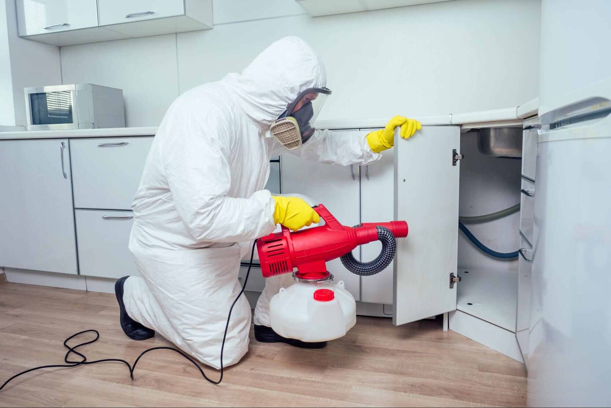 Professional technician treating a home, illustrating DIY vs professional pest control.