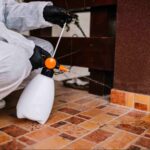 Pest control technician treating a home, illustrating how to choose a pest control company.