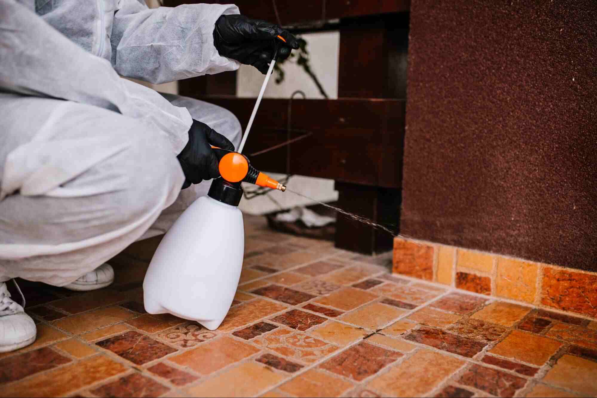 Pest control technician treating a home, illustrating how to choose a pest control company.